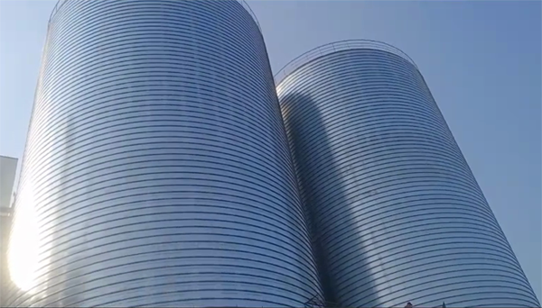 王五镇2座混凝土高架卷板仓